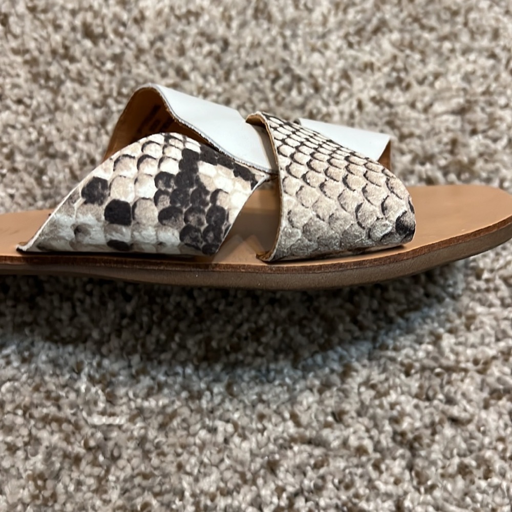 Seychelles RAY OF SUNSHINE WOMENS SNAKE PRINT FLAT SLIDE SANDALS 9.5 - Picture 5 of 7